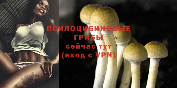 молекула духа Богородск