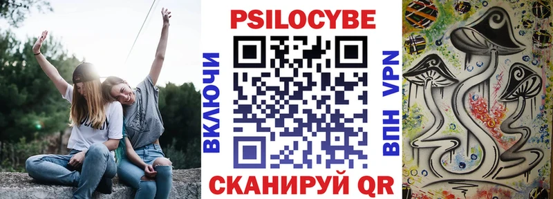 Купить закладки  Починок  Псилоцибиновые грибы MAGIC MUSHROOMS 